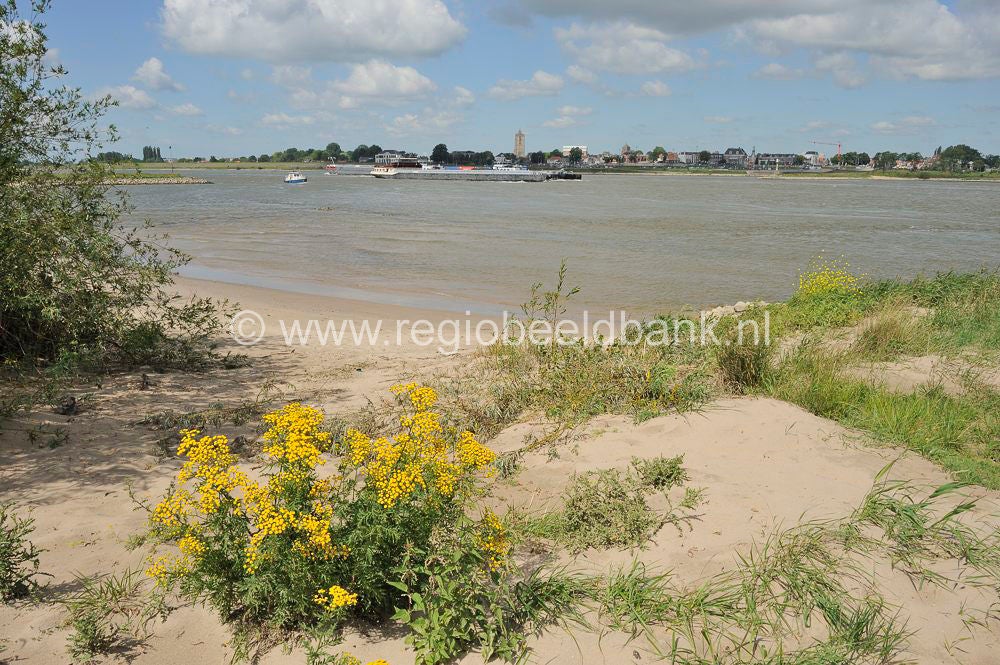 tiel_wamel_015.jpg