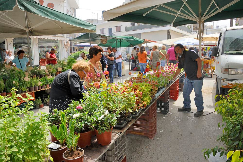 timbaki_market_338.jpg