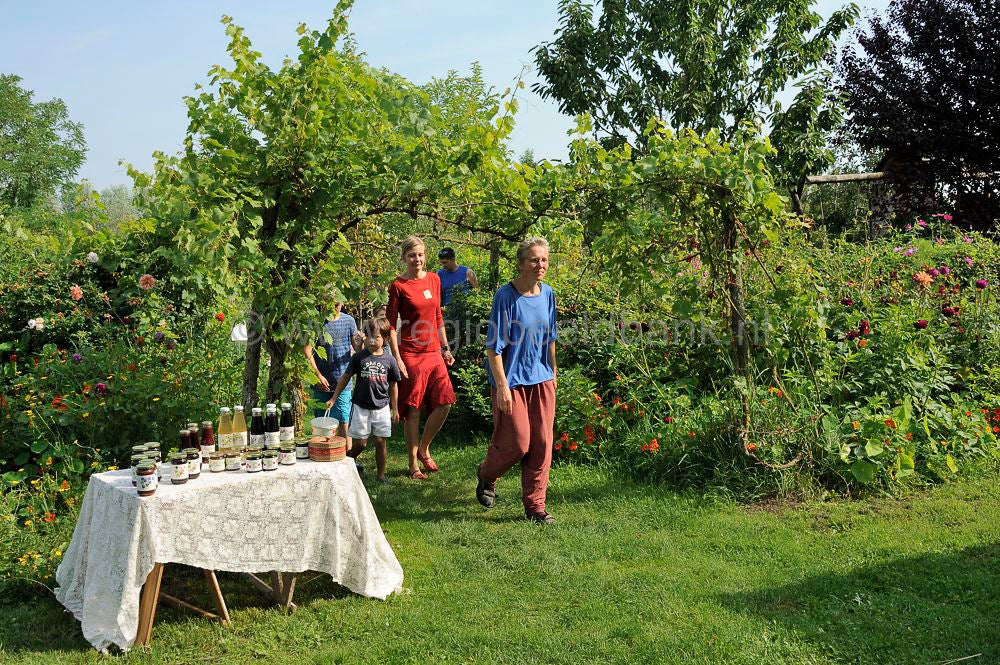tresjoliefruit__207.jpg