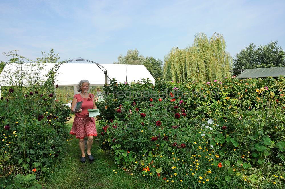 tresjoliefruit__213.jpg