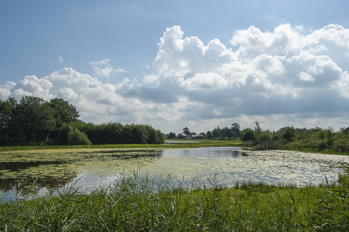 turfvelderpad_027.jpg