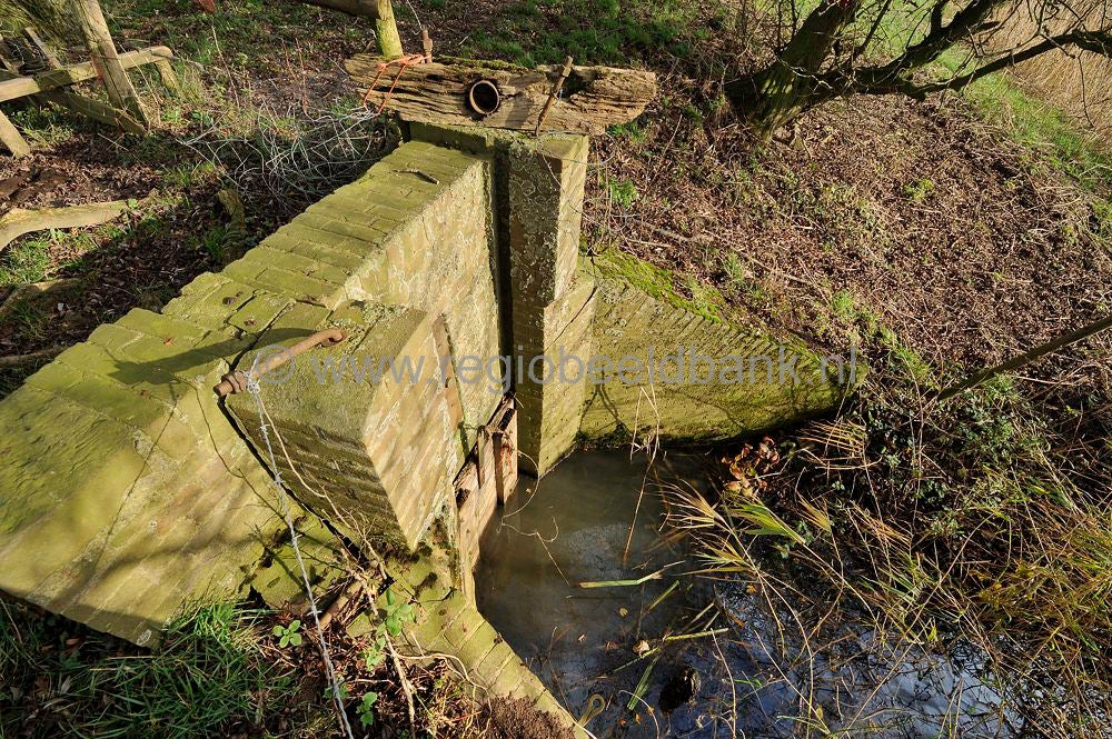 uiterwaarden_009.jpg