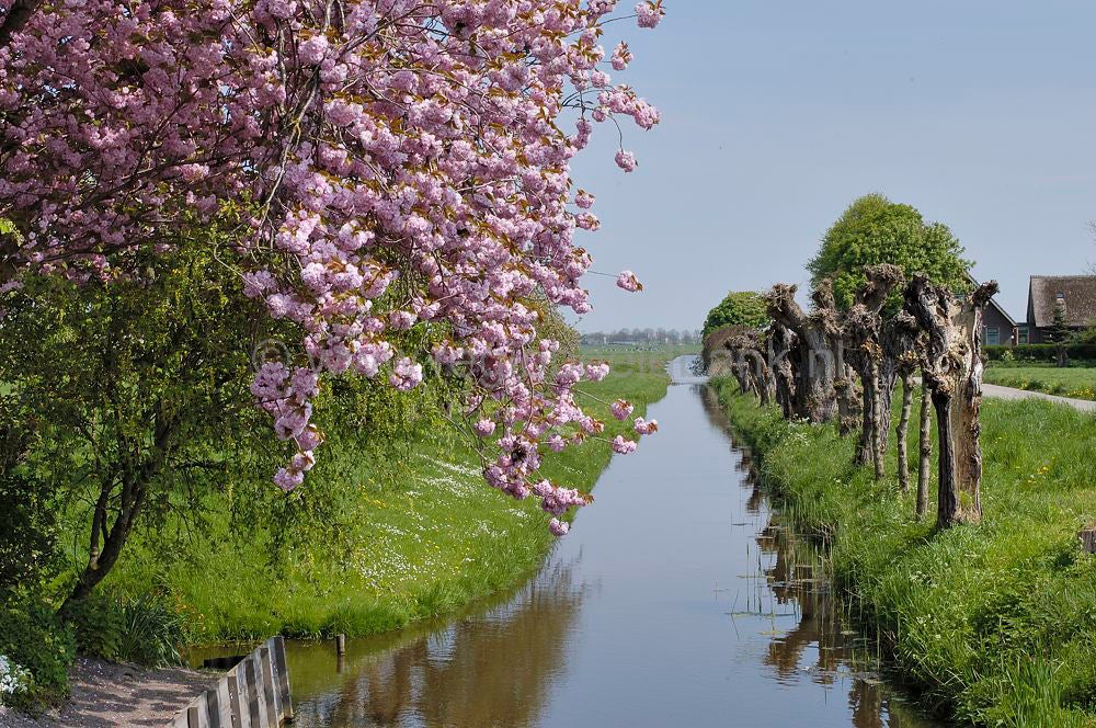 uithoorn_buitengebied_064.jpg