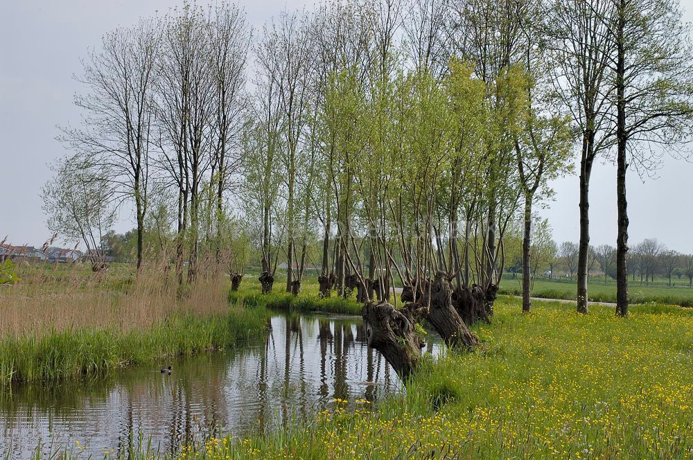uithoorn_buitengebied_076.jpg
