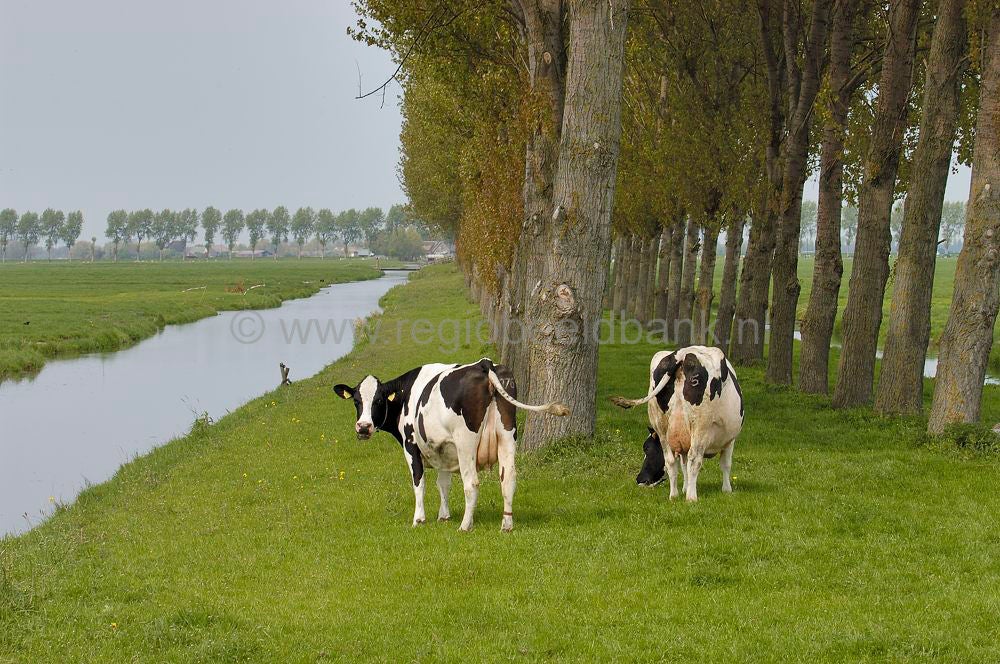 uithoorn_buitengebied_101.jpg