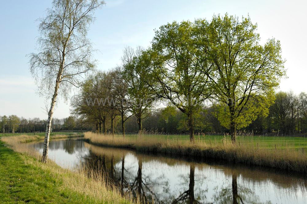 valleikanaal_016.jpg