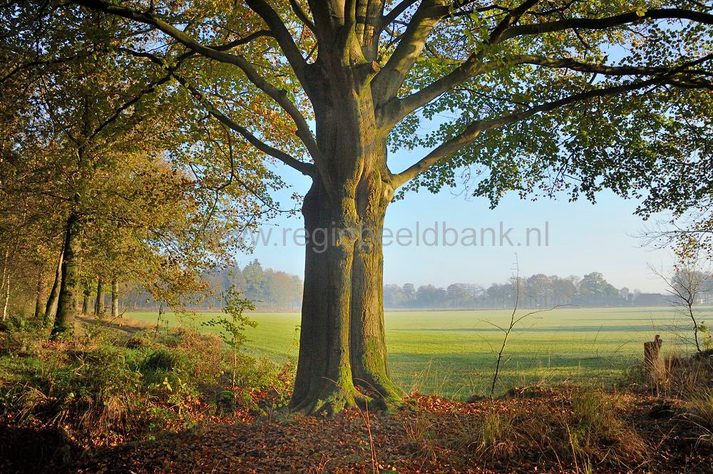 vanhoognaarlaag_012.jpg