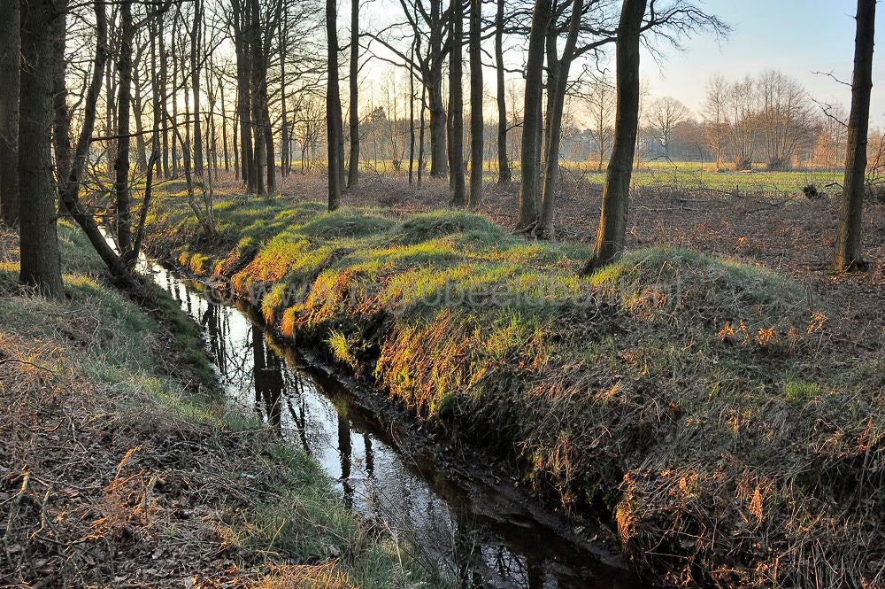 veenschoten_016.jpg