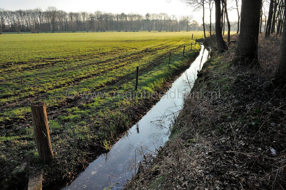 veenschoten_018.jpg