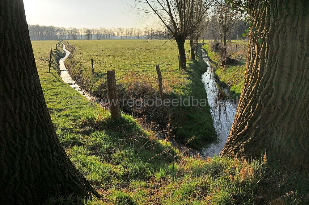 veenschoten_020.jpg