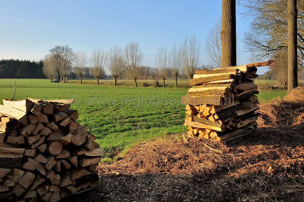 veenschoten_022.jpg