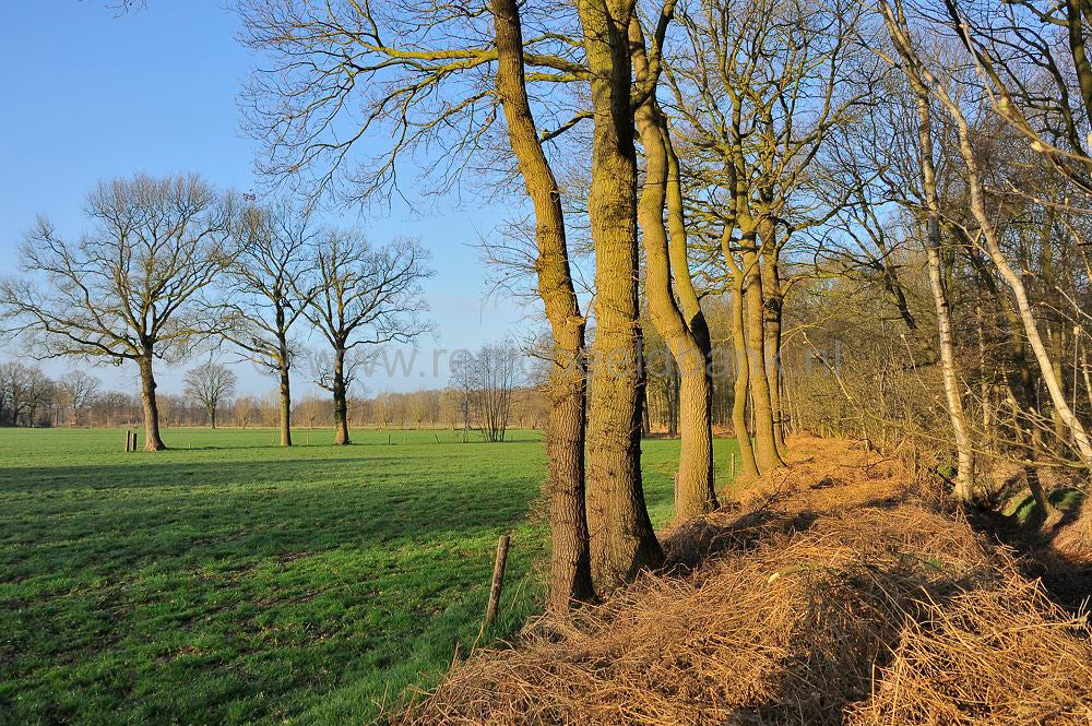 veenschoten_024.jpg