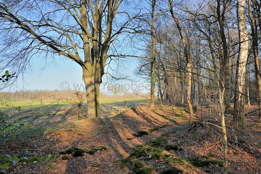 veenschoten_026.jpg