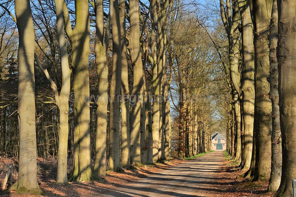 veenschoten_036.jpg