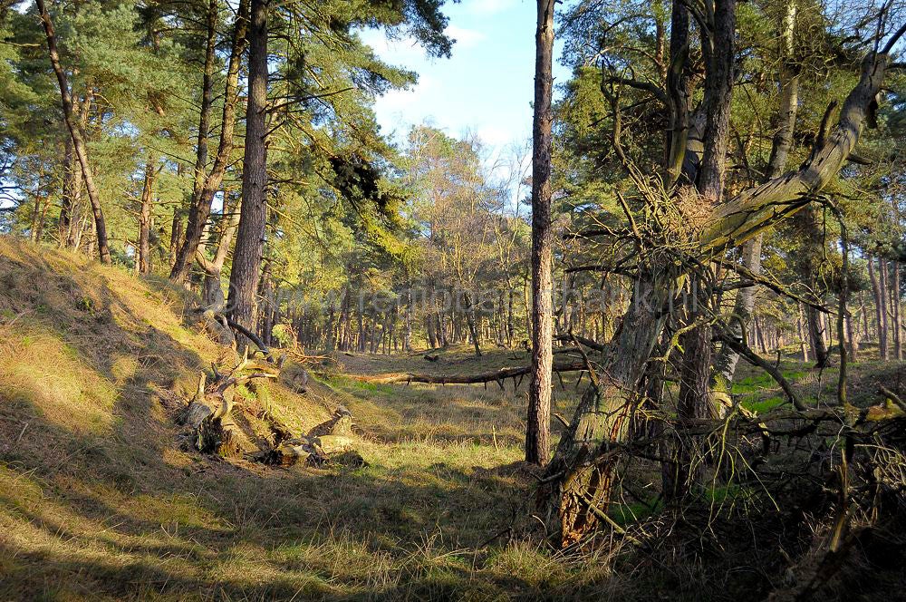 veluwezoom_west_050.jpg
