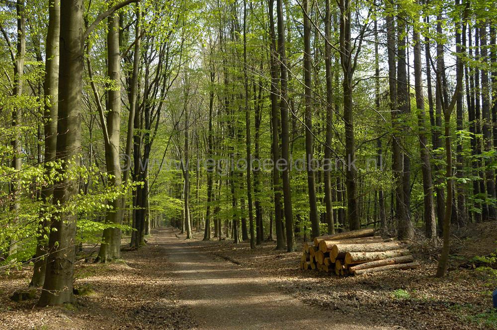 vijlenberg_027.jpg