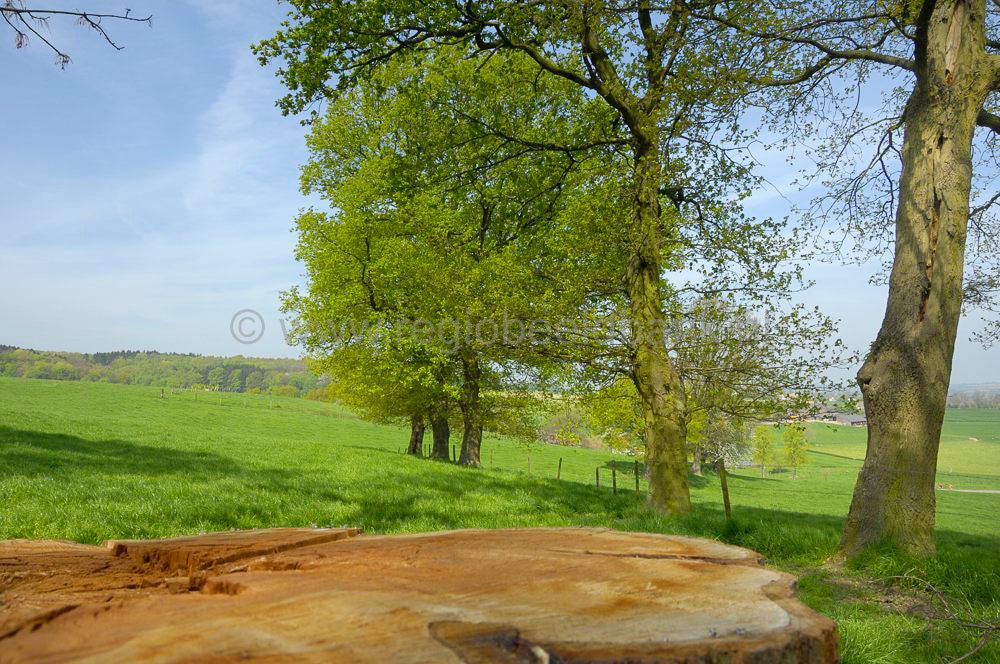 vijlenberg_031.jpg