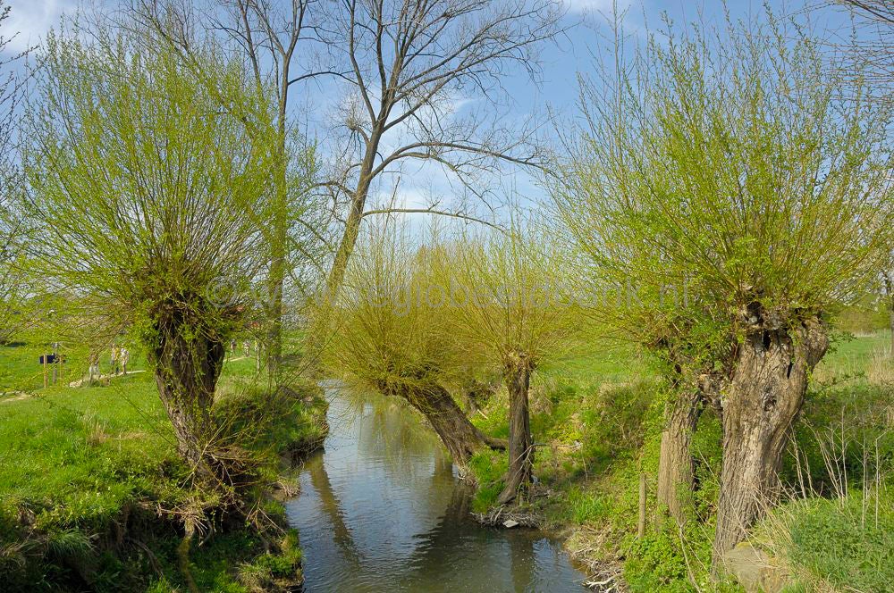 vijlenberg_041-1.jpg