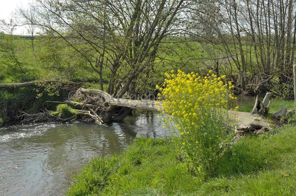 vijlenberg_044.jpg