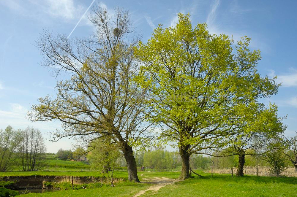 vijlenberg_046.jpg