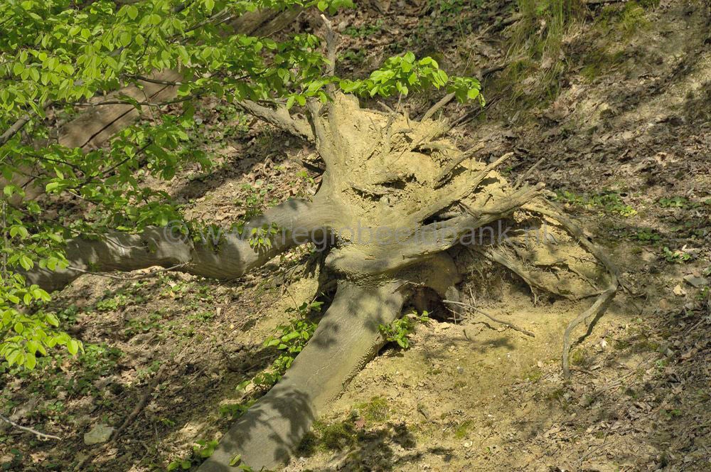 vijlenberg_054.jpg