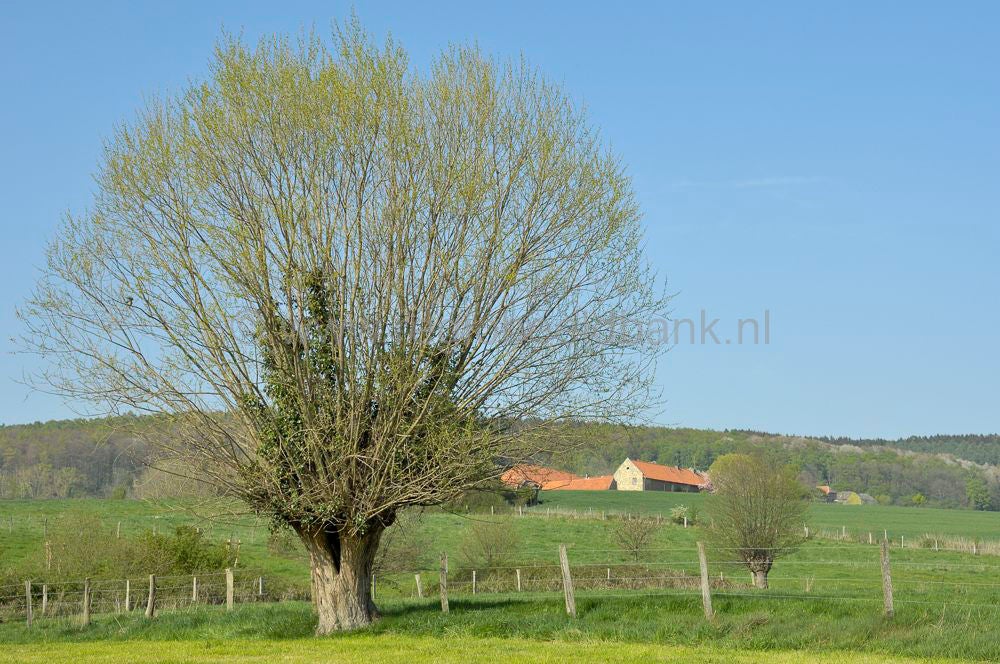 vijlenberg_057.jpg