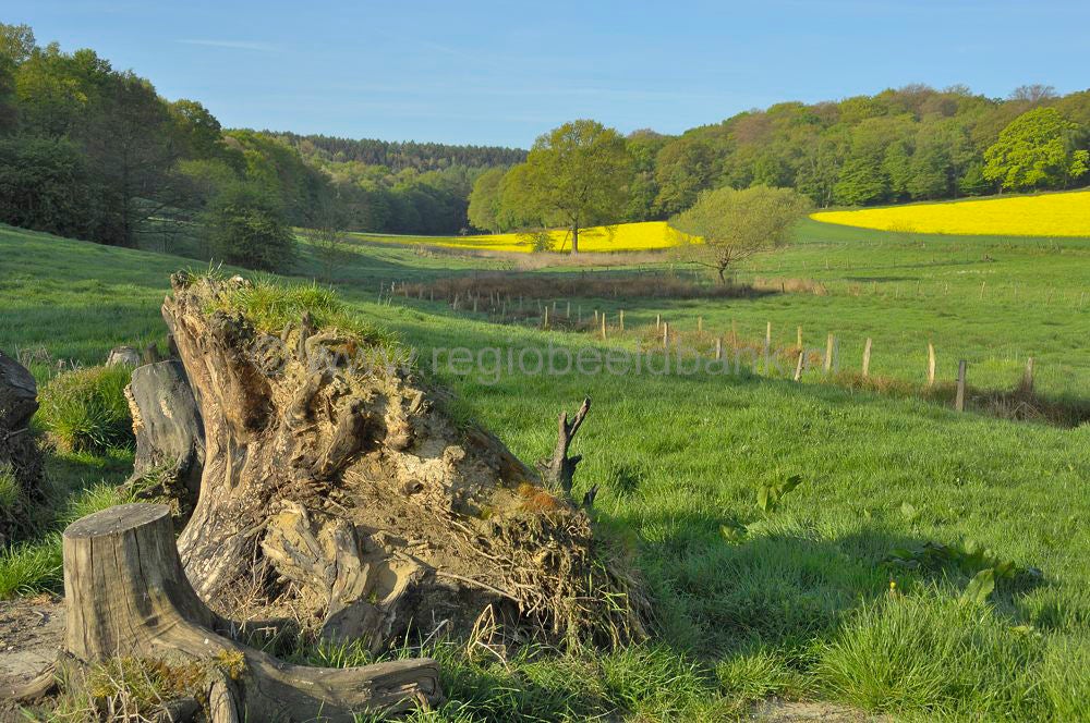vijlenberg_060.jpg