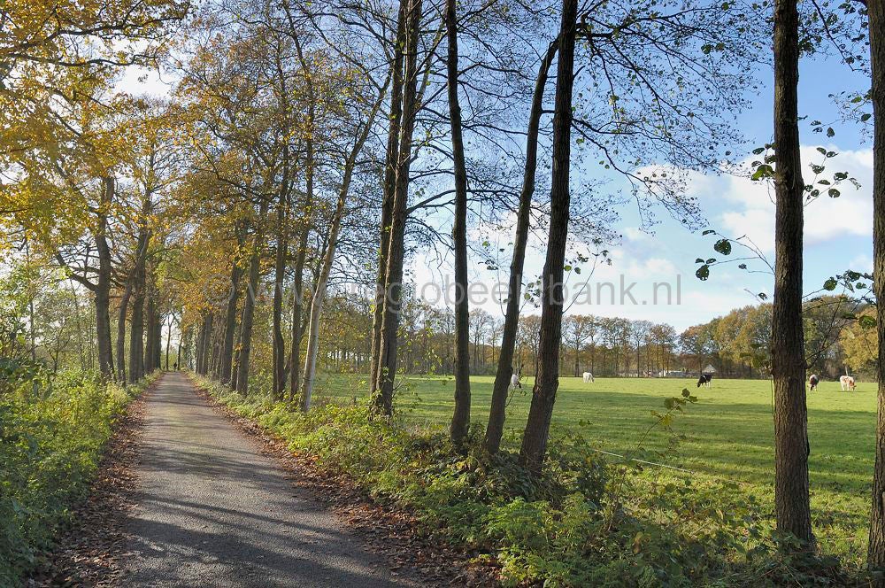 vlieterhoek_009.jpg