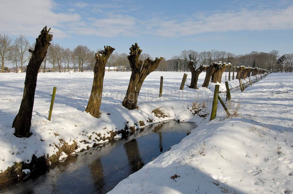 vlieterhoek_012.jpg