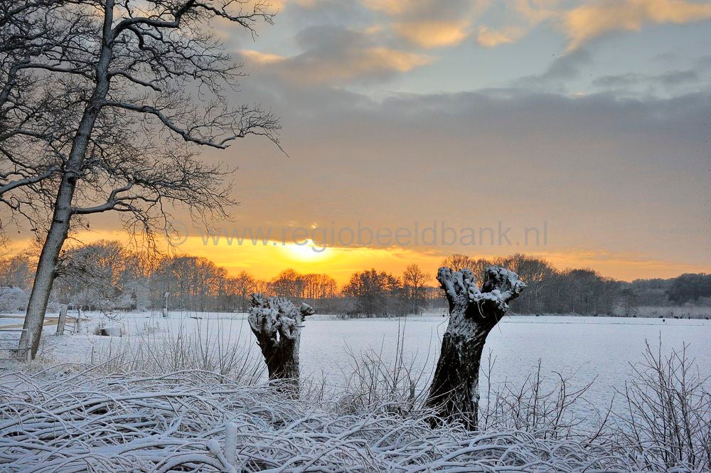 vlieterhoek_020-1.jpg