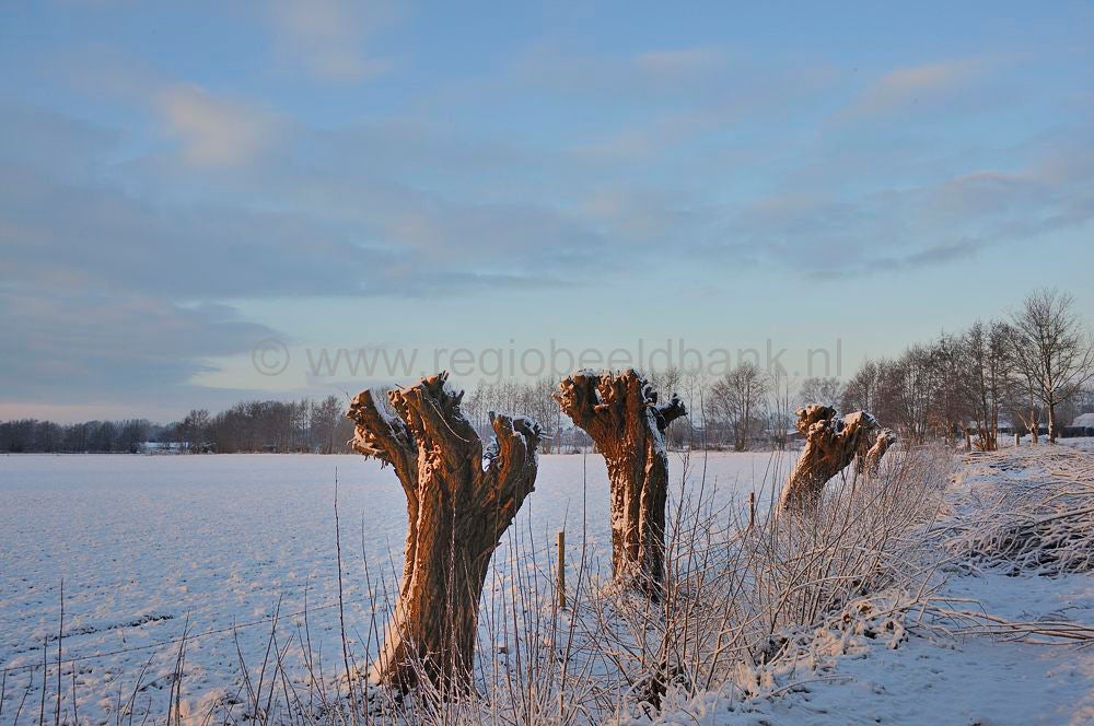 vlieterhoek_022.jpg