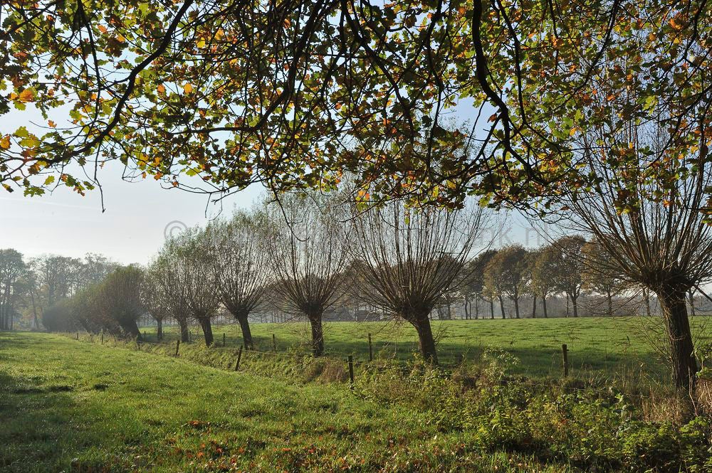 vlieterhoek_038.jpg