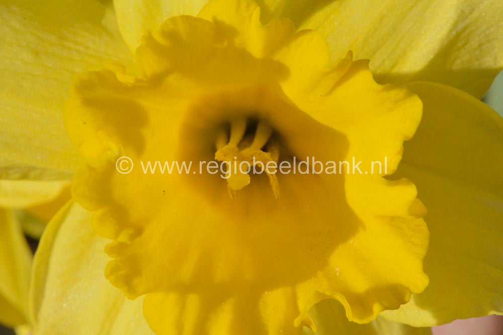 voorjaar_2015_060.jpg