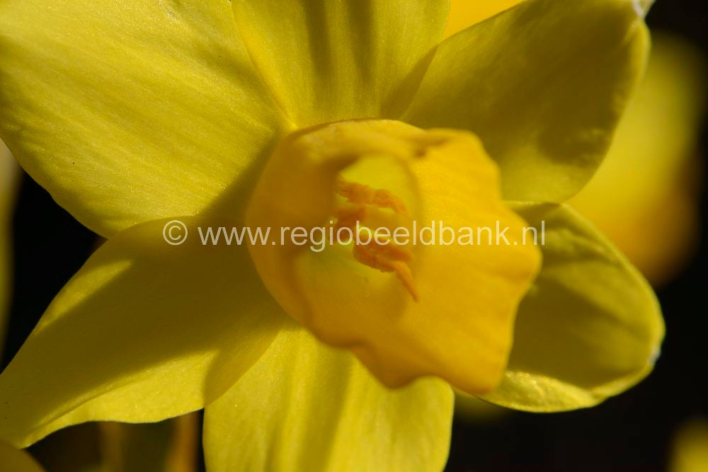 voorjaar_2015_066.jpg