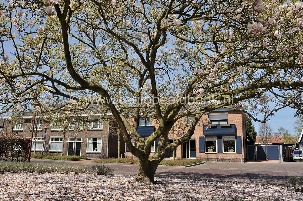 voorjaar_2015_079.jpg