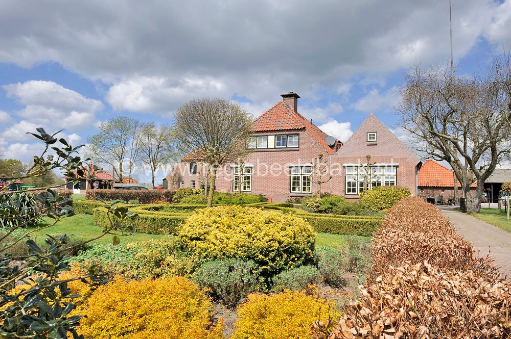 voorjaar_2015_090.jpg