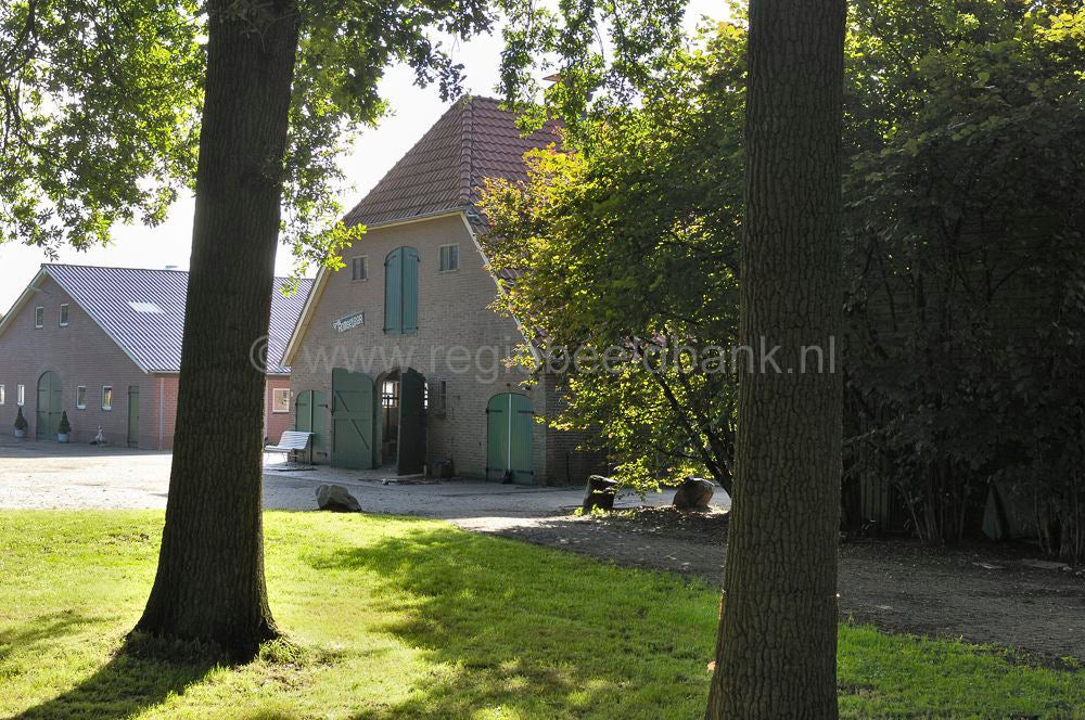 voskuilen_001.jpg