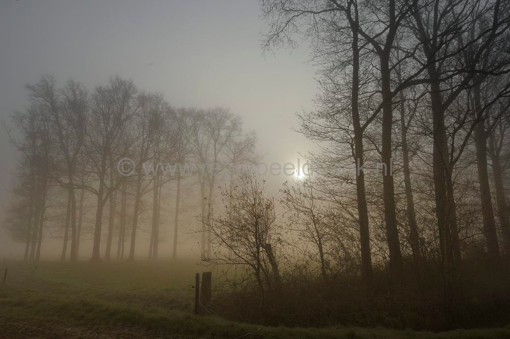 Voskuilerdijk