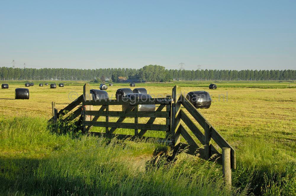 vredelantseepad_010.jpg