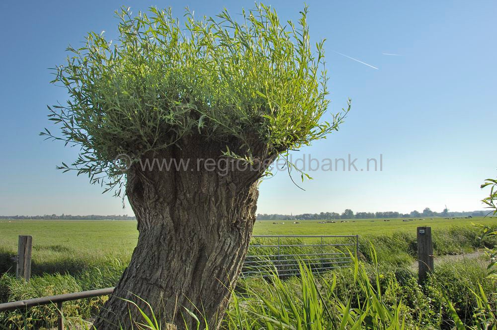 vredelantseepad_030.jpg