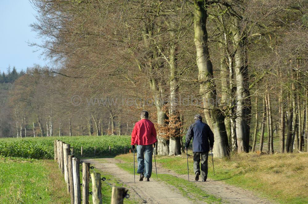 wandelen_010_1.jpg