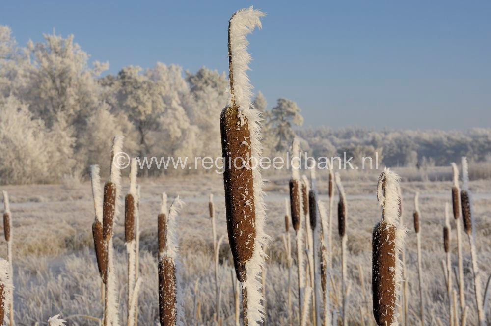 winter_2007_072.jpg