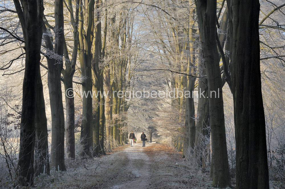 winter_2007_086.jpg