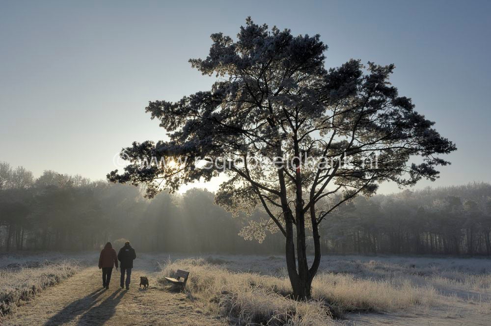 winter_2007_150.jpg