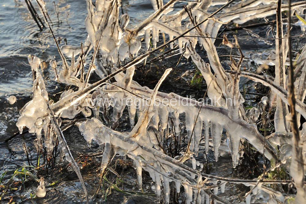winter_2012_010.jpg