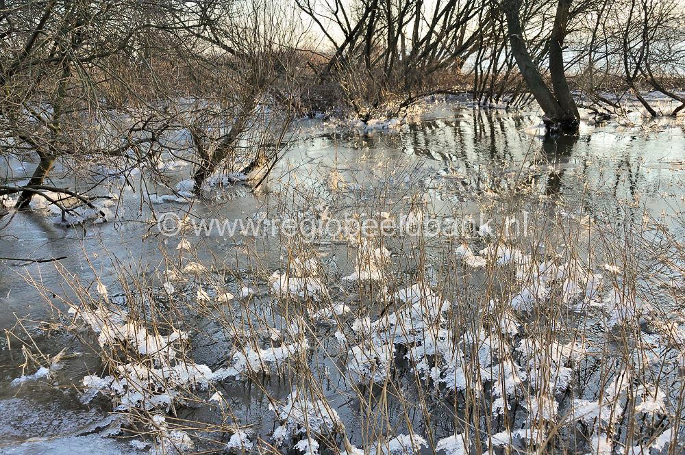 winter_2012_013.jpg