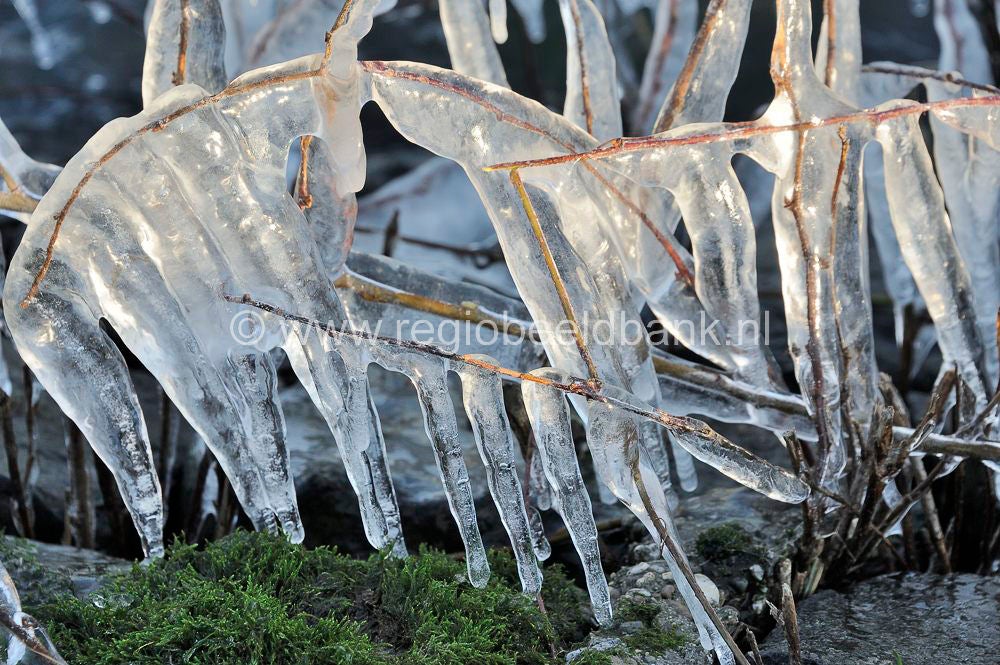 winter_2012_018.jpg