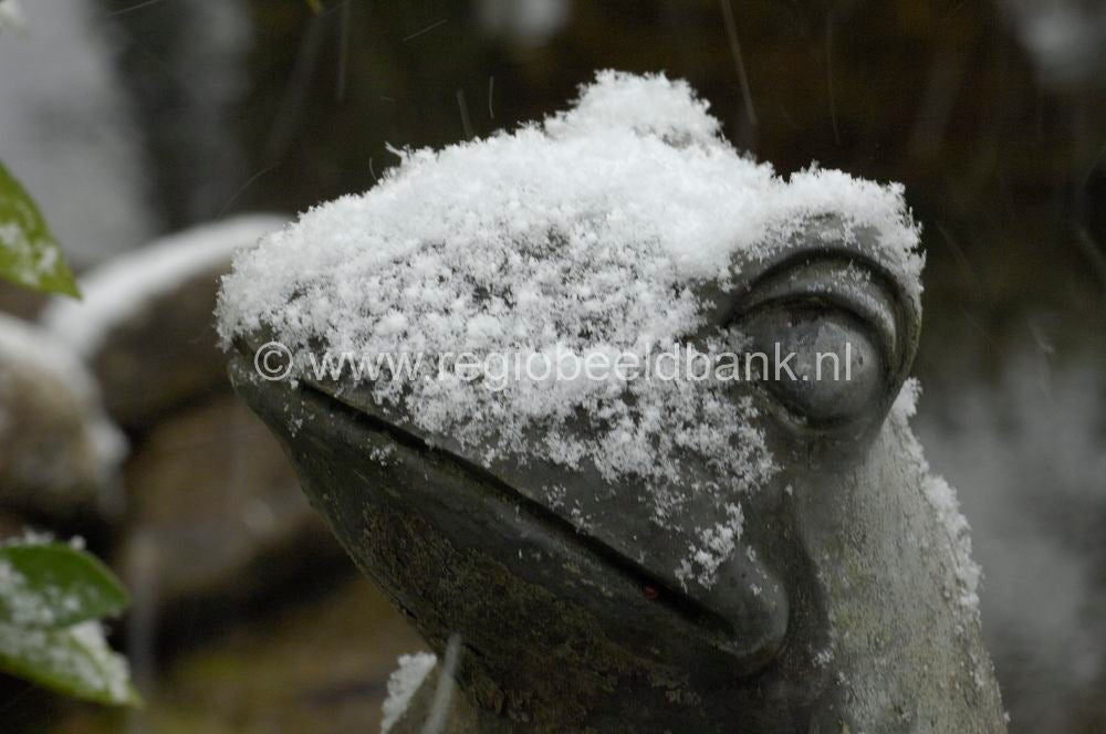 winter_stills_011.jpg