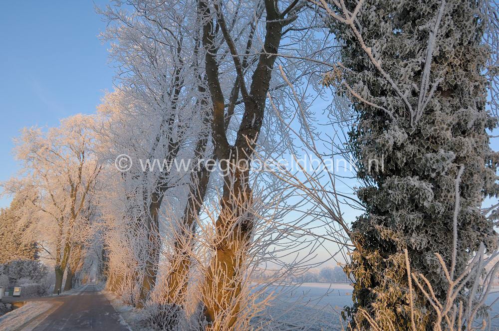 winterindevallei_006.jpg