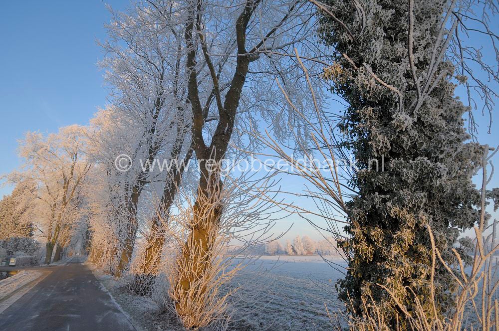 winterindevallei_009.jpg